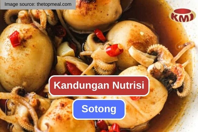 Inilah Nutrisi yang Terkandung dalam Daging Sotong